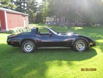 1981 Corvette T-Top For Sale